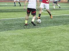 苏诺独家揭,蛇年,期双色球红,山东体彩,山东体彩网,山东体彩网官网,体育彩票,体彩大乐透,竞彩足球,体彩公益