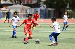 体彩排列,期专家推荐,质合分析,山东体彩,山东体彩网,山东体彩网官网,体育彩票,体彩大乐透,竞彩足球,体彩公益