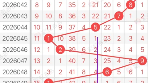 大乐透期号专家推荐：345万能四码定跨分析